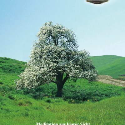 Meditation aus klarer Sicht