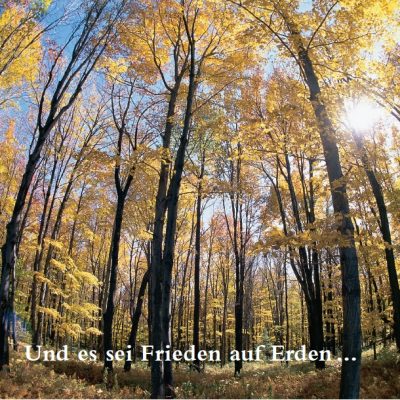 Und es sei Frieden auf Erden ...